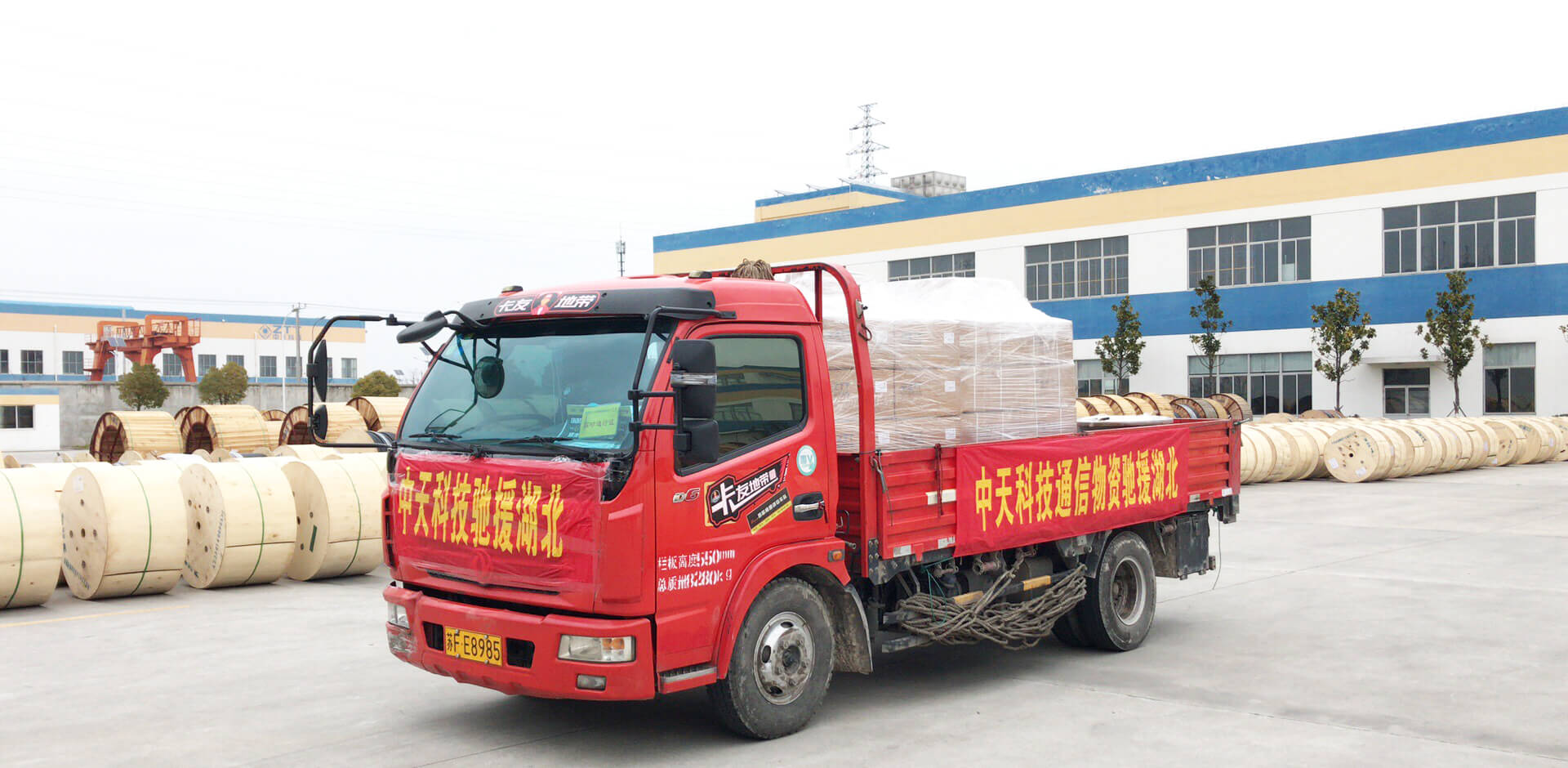 ӮVWINƼͨʳԮͬսߡ