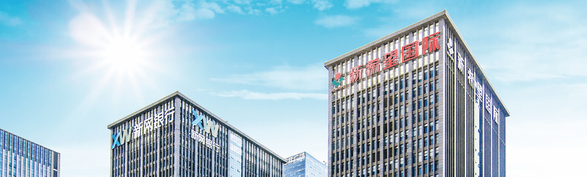 ���ڵ�ӮVWIN